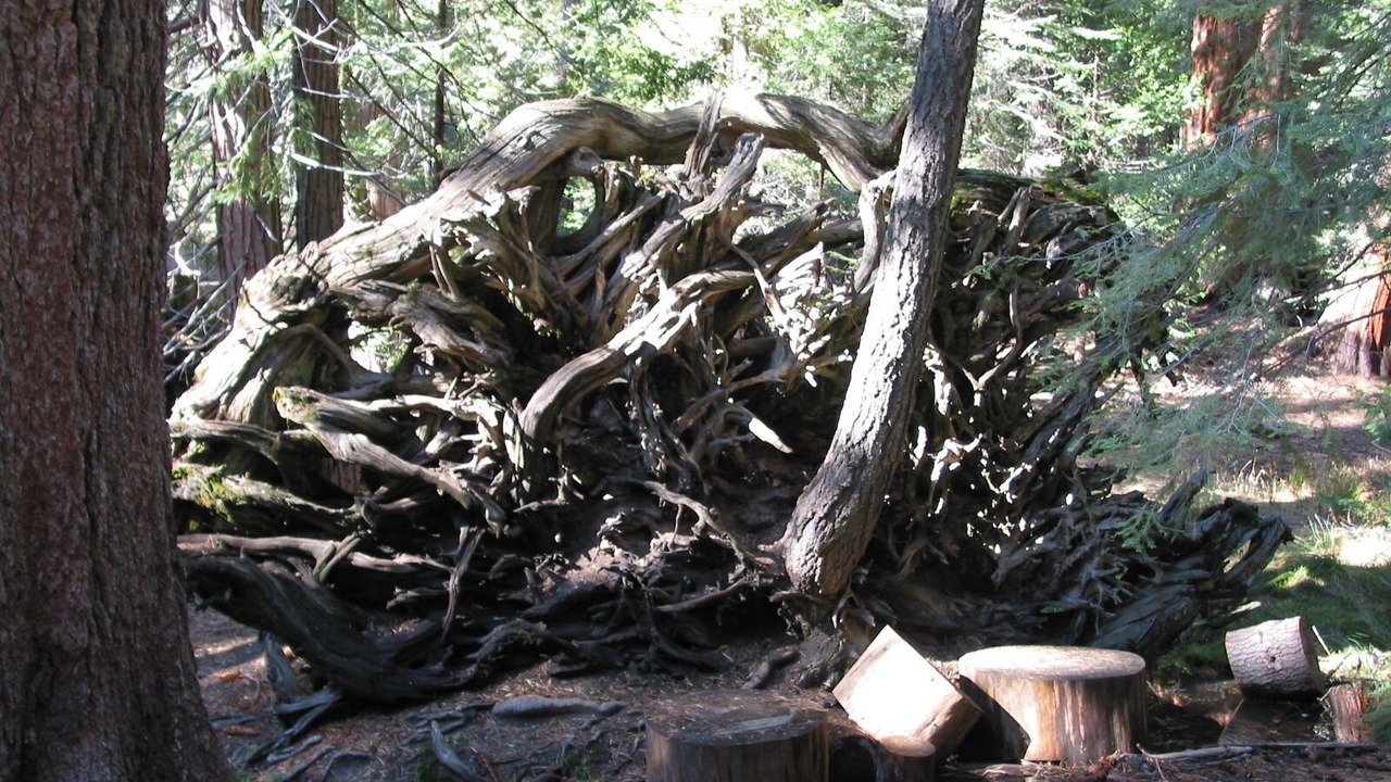Photo of Outdoor in California Hot Springs