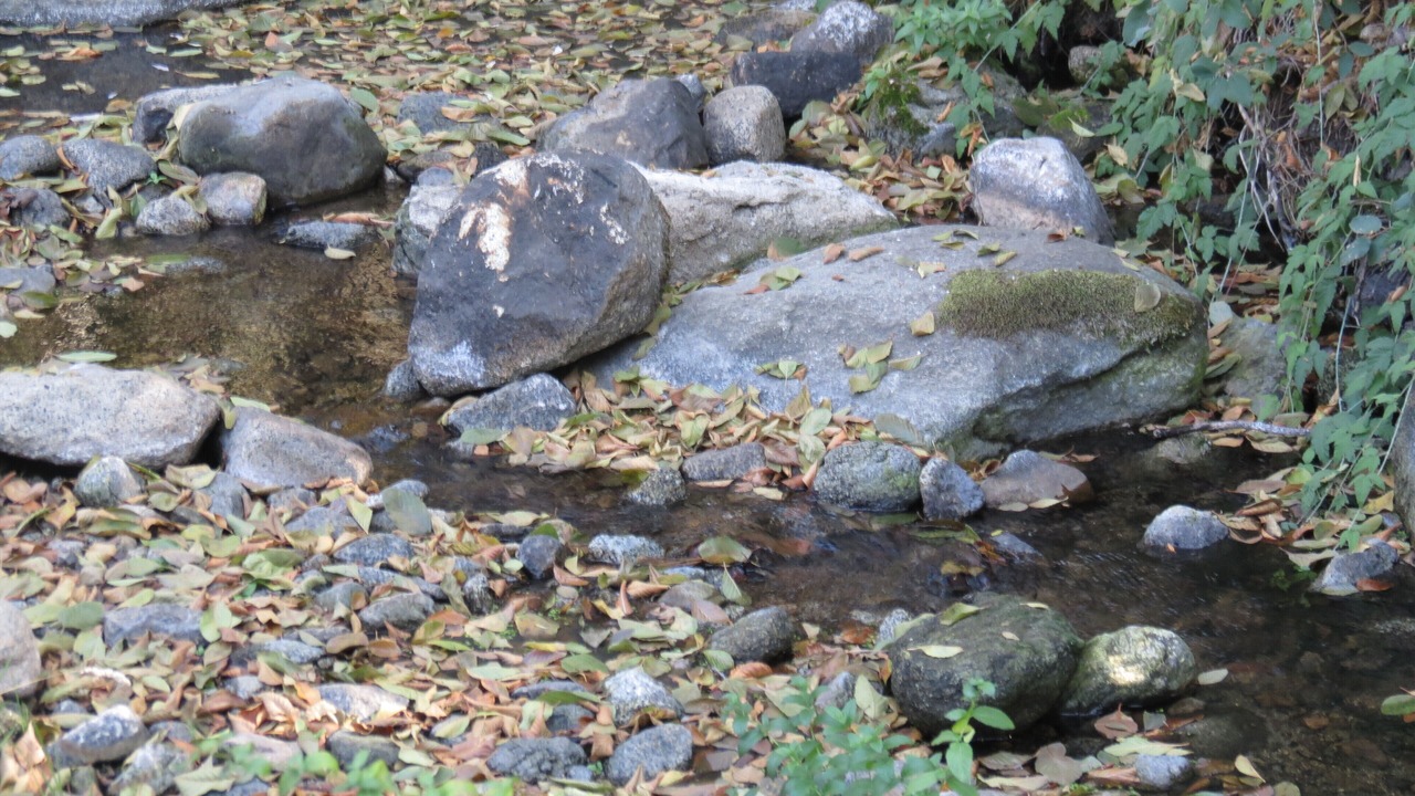 Photo of Outdoor in California Hot Springs