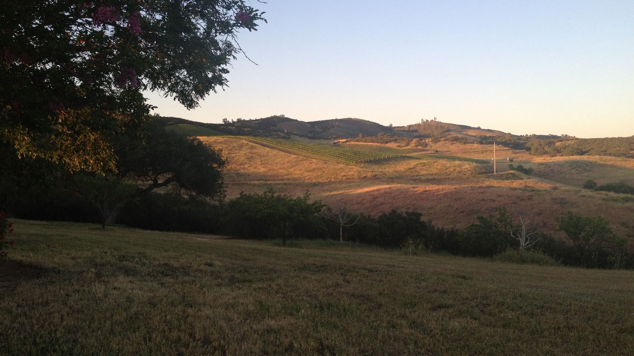 Photo of Outdoor in Soledad