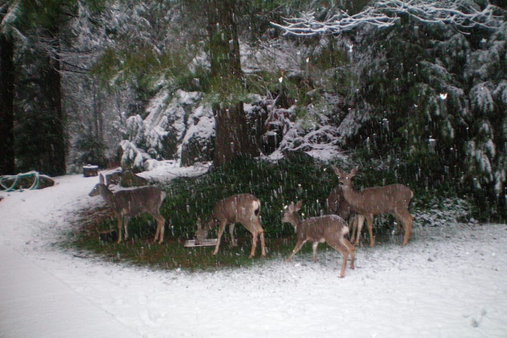 Photo of Others in Mariposa
