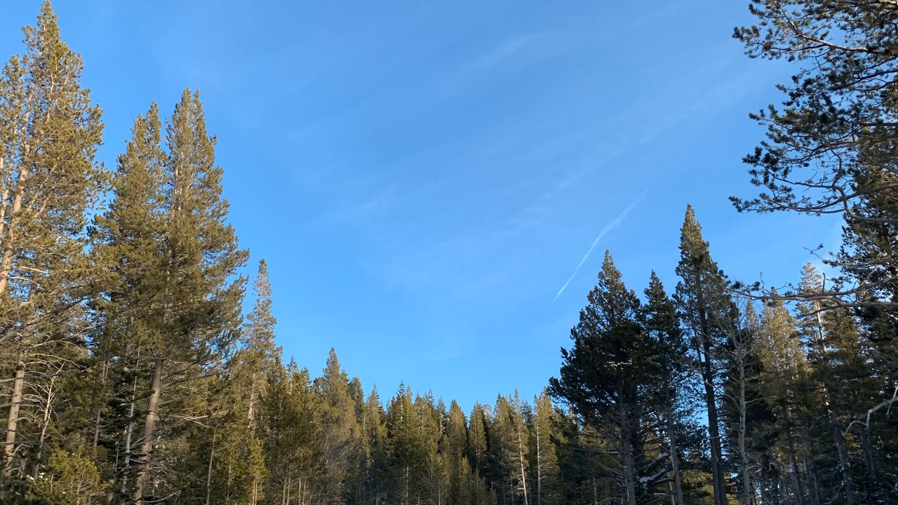 Photo of Outdoor in Tahoe Paradise