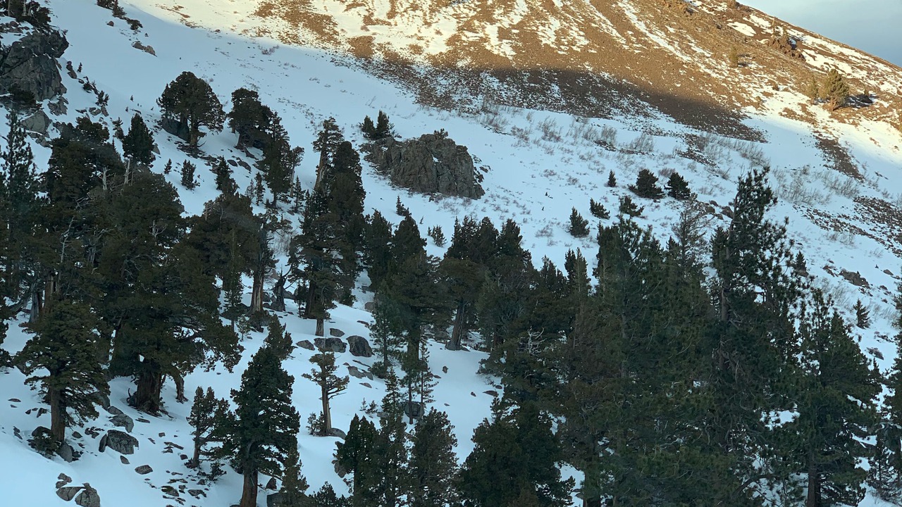 Photo of Outdoor in Tahoe Paradise