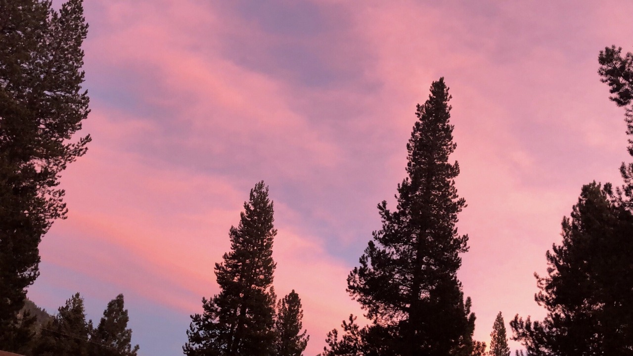 Photo of Outdoor in Tahoe Paradise