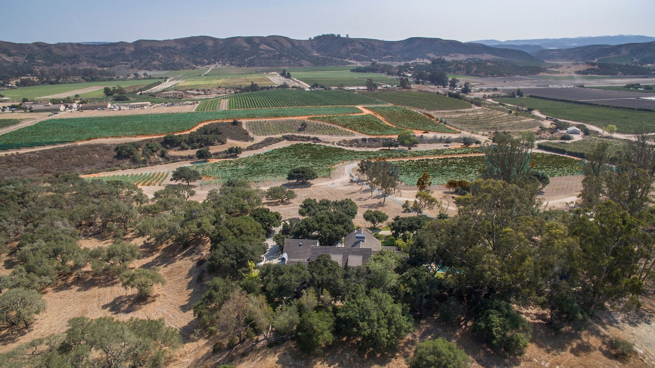 Photo of Outdoor in Lompoc