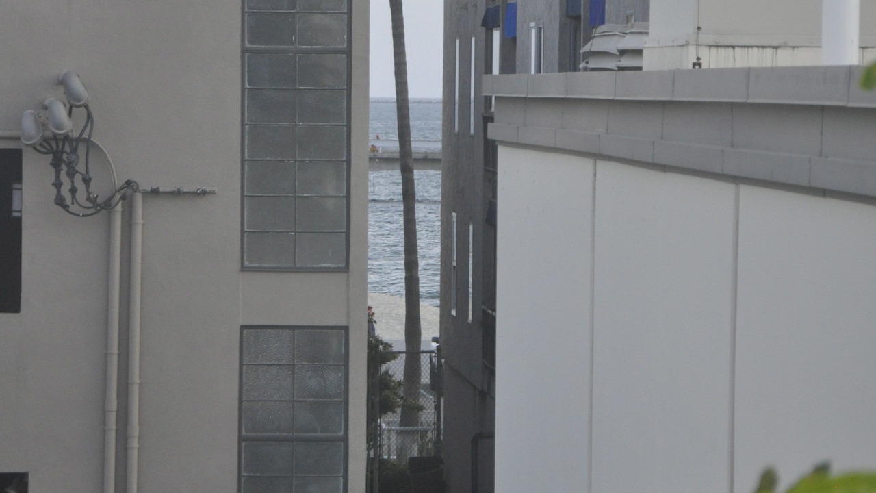 Photo of Others in Belmont Shore