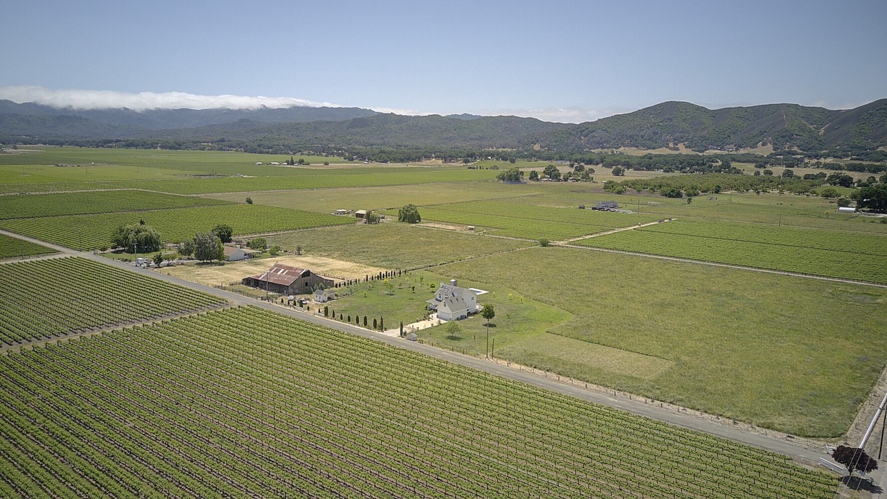 Photo of Outdoor in Lakeport