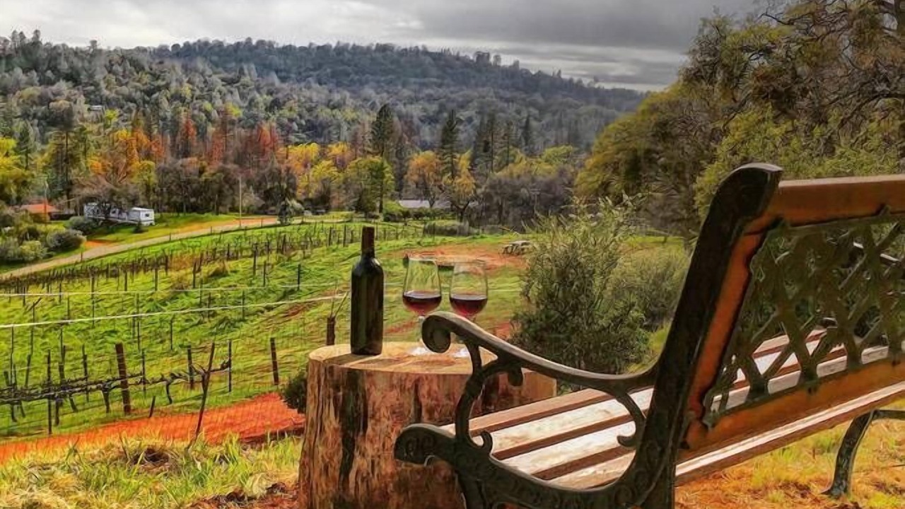 Photo of Outdoor in Mariposa