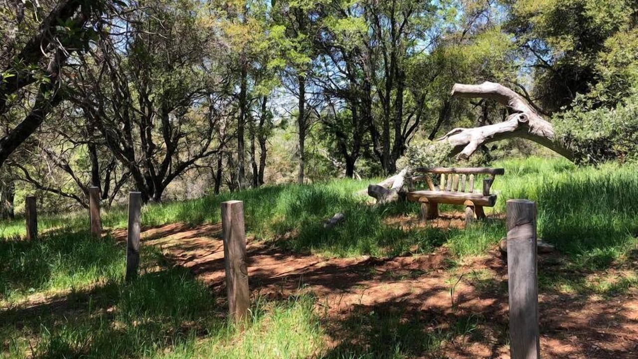 Photo of Outdoor in Mariposa