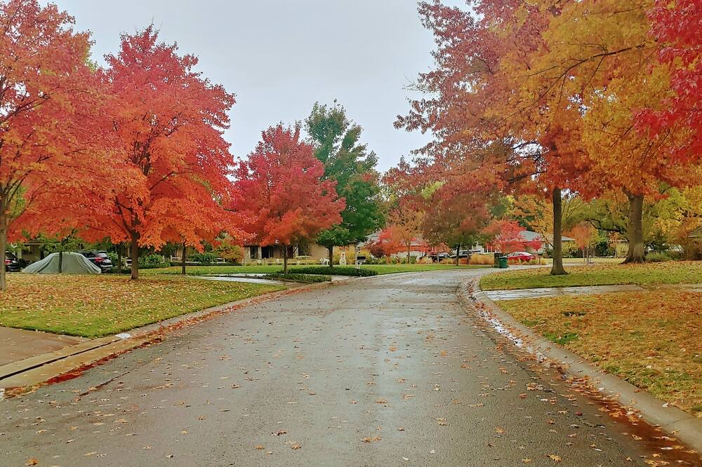Photo of Outdoor in Arden-Arcade