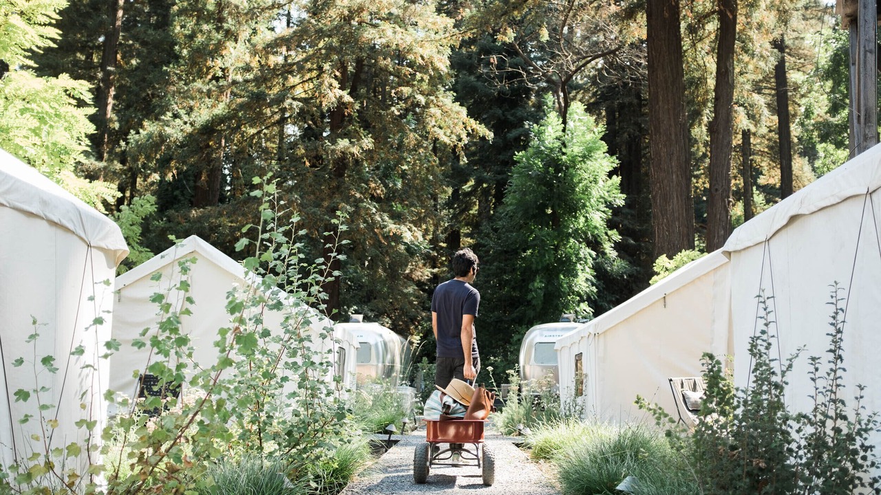 Photo of Outdoor in Guerneville