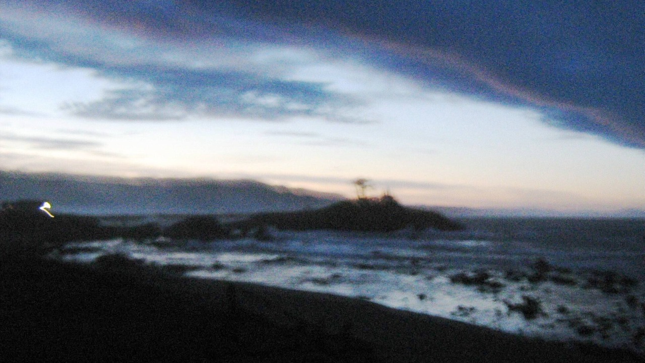 Photo of Others in Bertsch-Oceanview