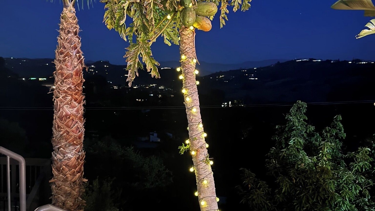 Photo of Outdoor in Fallbrook