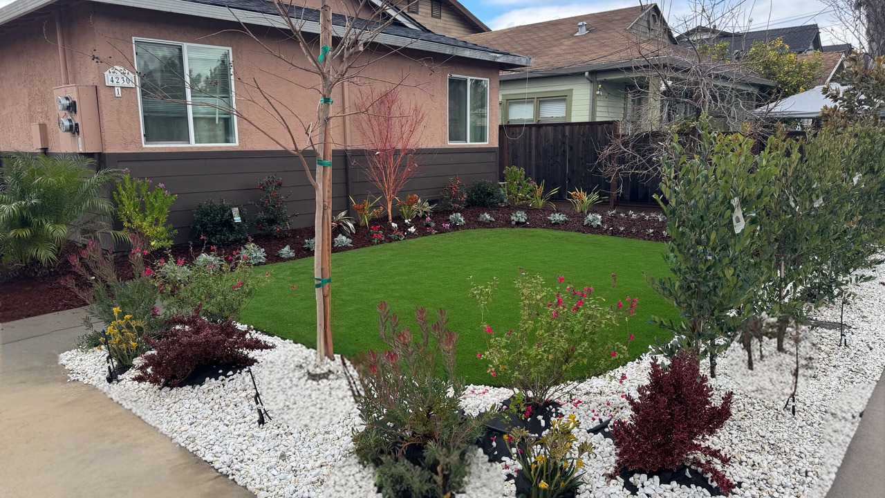 Photo of Outdoor in Santa Clara