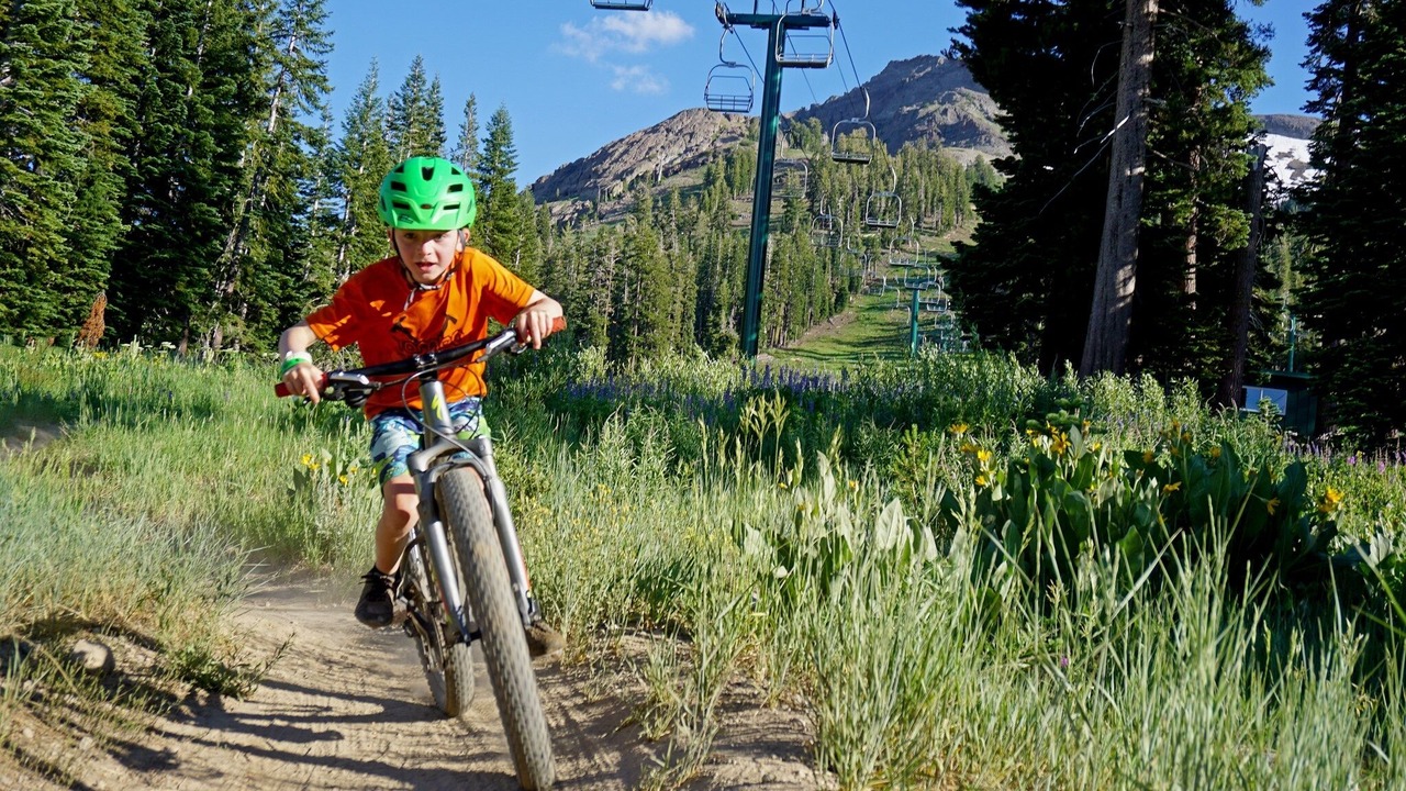Photo of Others in Kirkwood