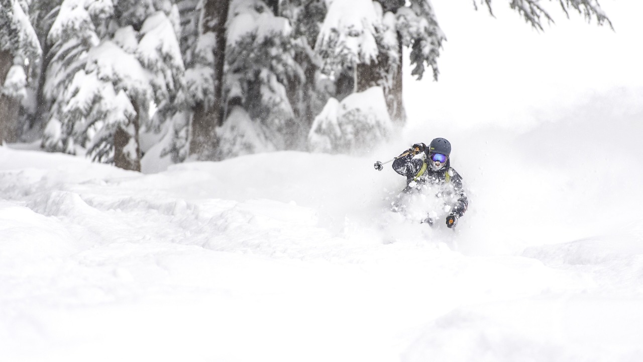 Photo of Others in Kirkwood