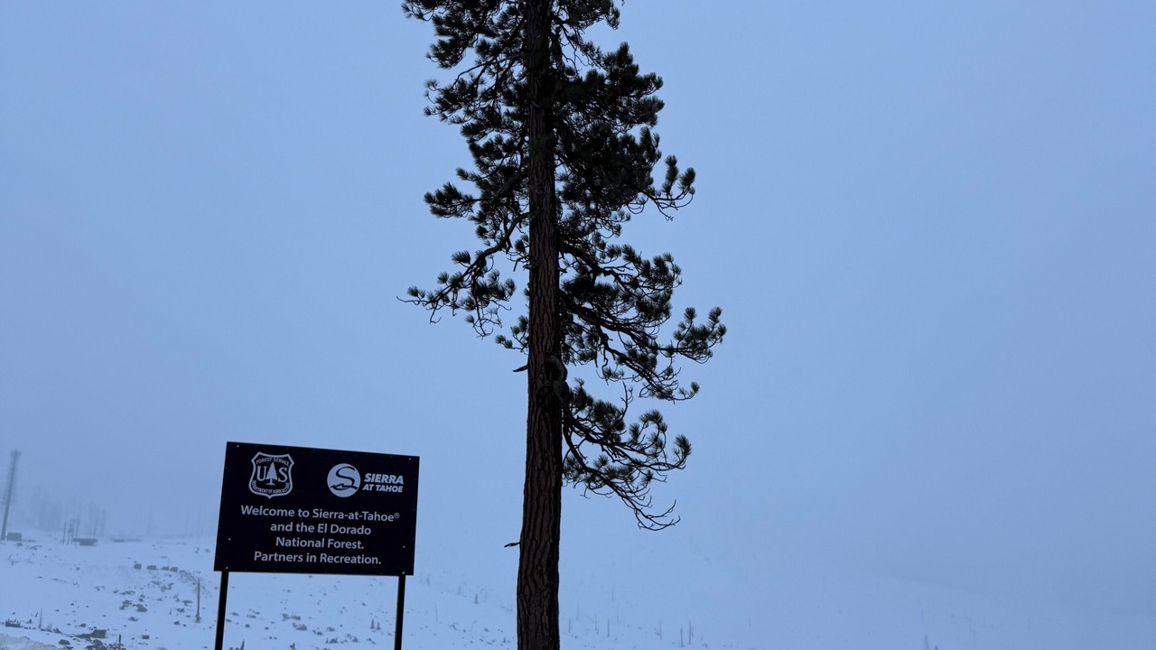 Photo of Others in Pollock Pines