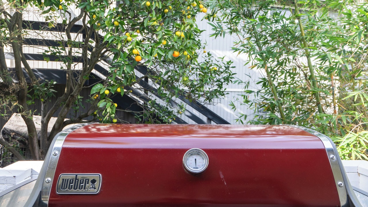 Photo of Outdoor in Mission Canyon