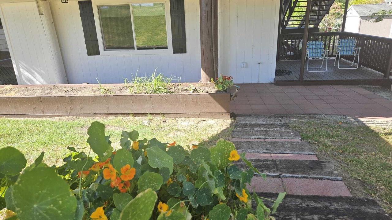 Photo of Outdoor in Bethel Island