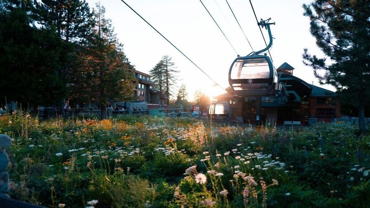 Photo of Outdoor in Tahoe City