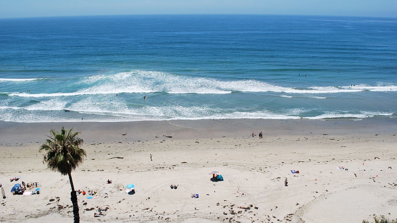 Photo of Others in North Pacific Beach