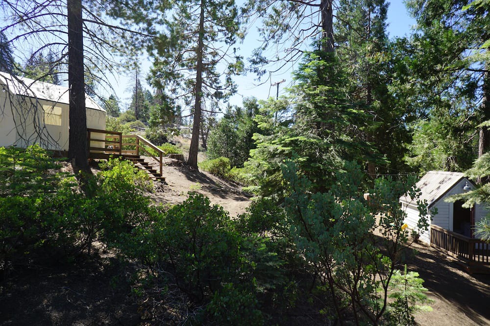 Photo of Outdoor in Shaver Lake