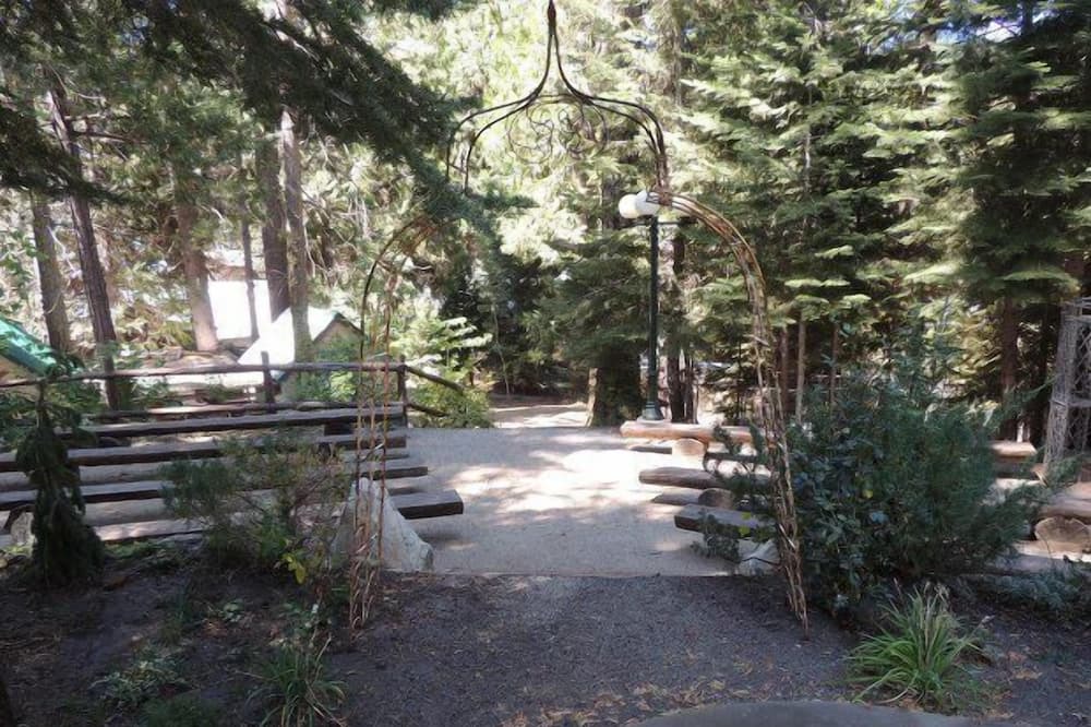 Photo of Outdoor in Shaver Lake