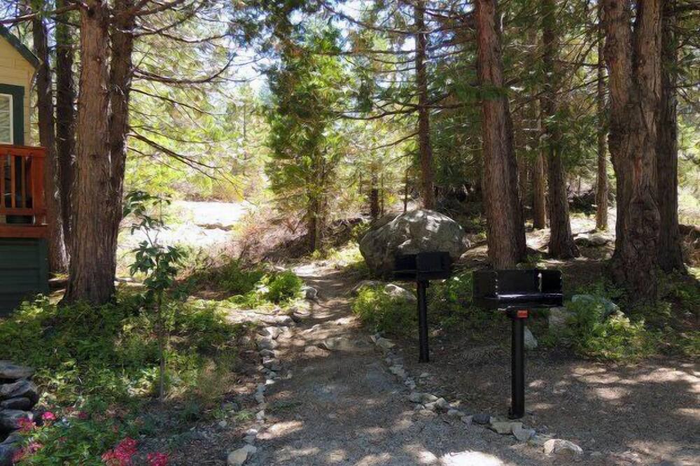 Photo of Outdoor in Shaver Lake