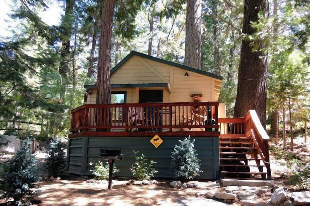 Photo of Outdoor in Shaver Lake