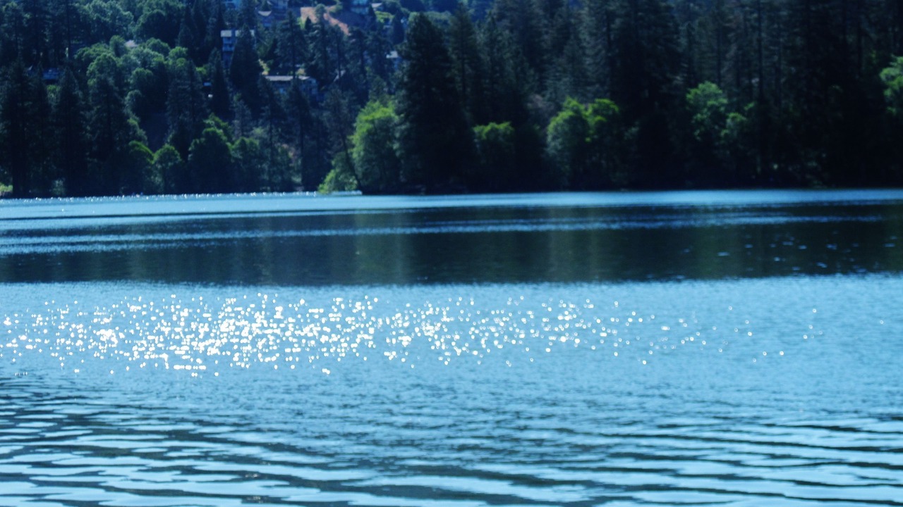 Photo of Others in Crestline