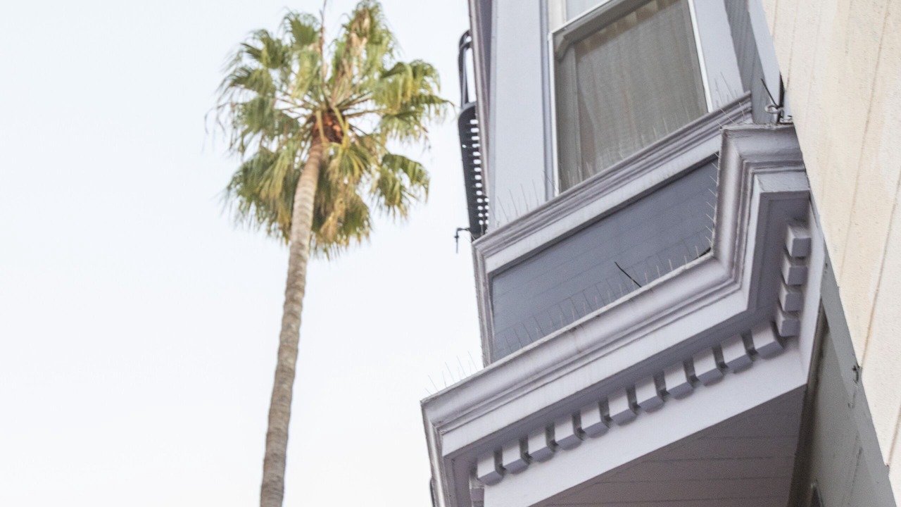Photo of Outdoor in Inner Mission