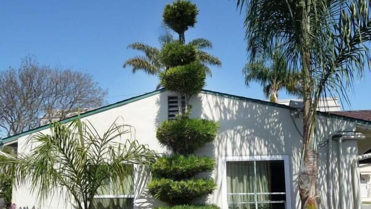 Photo of Outdoor in Ventura