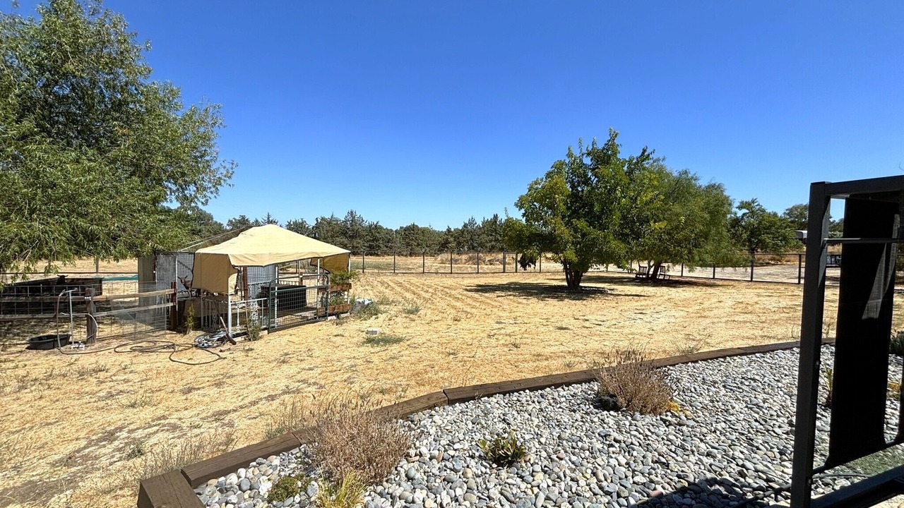Photo of Outdoor in Woodland
