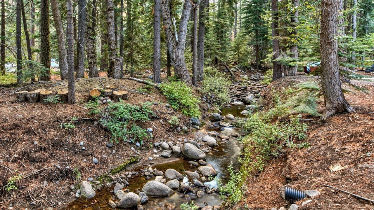 Photo of Outdoor in Truckee