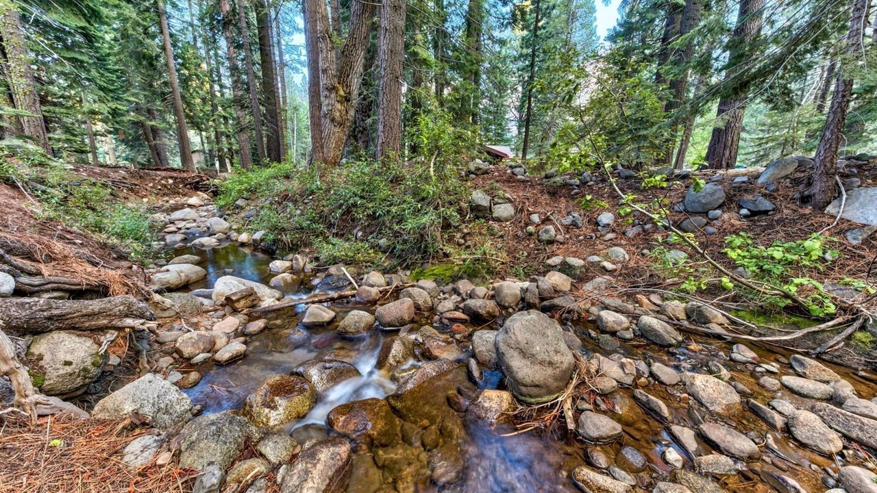 Photo of Outdoor in Truckee