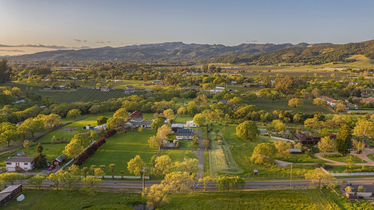 Photo of Others in Sonoma