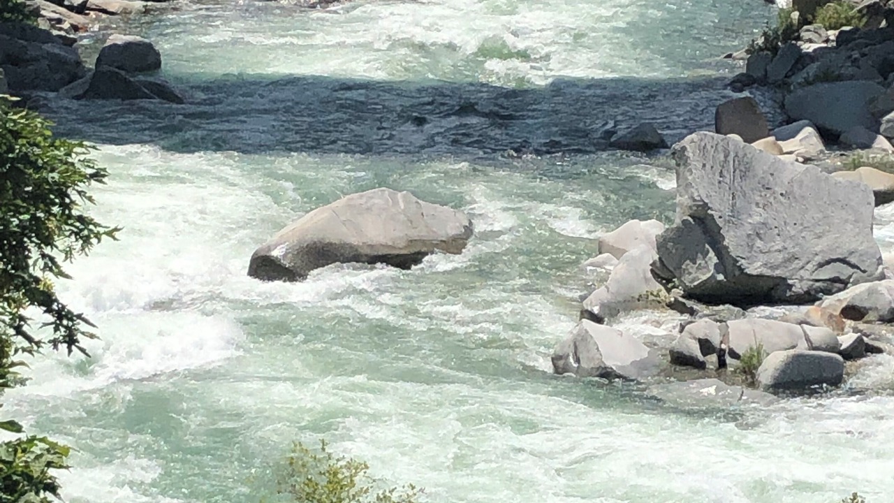 Photo of Others in Rough and Ready