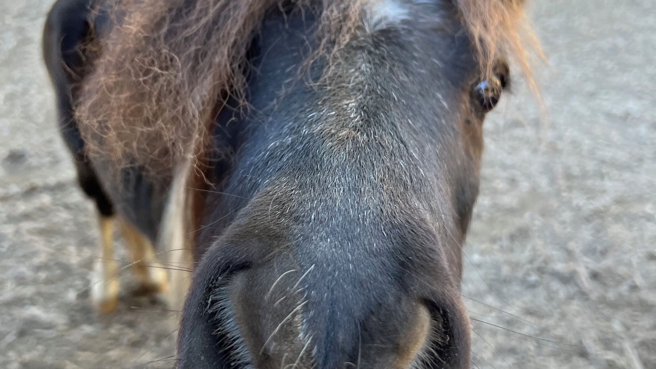 Photo of Others in Mendocino County