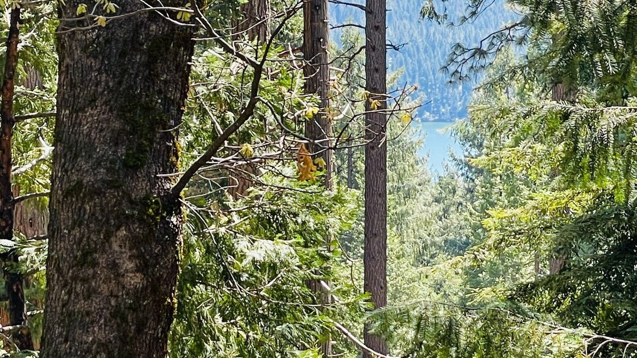 Photo of Outdoor in Pollock Pines