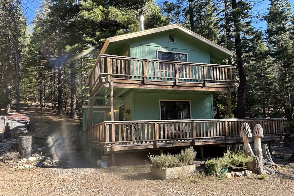 Photo of Outdoor in Weed