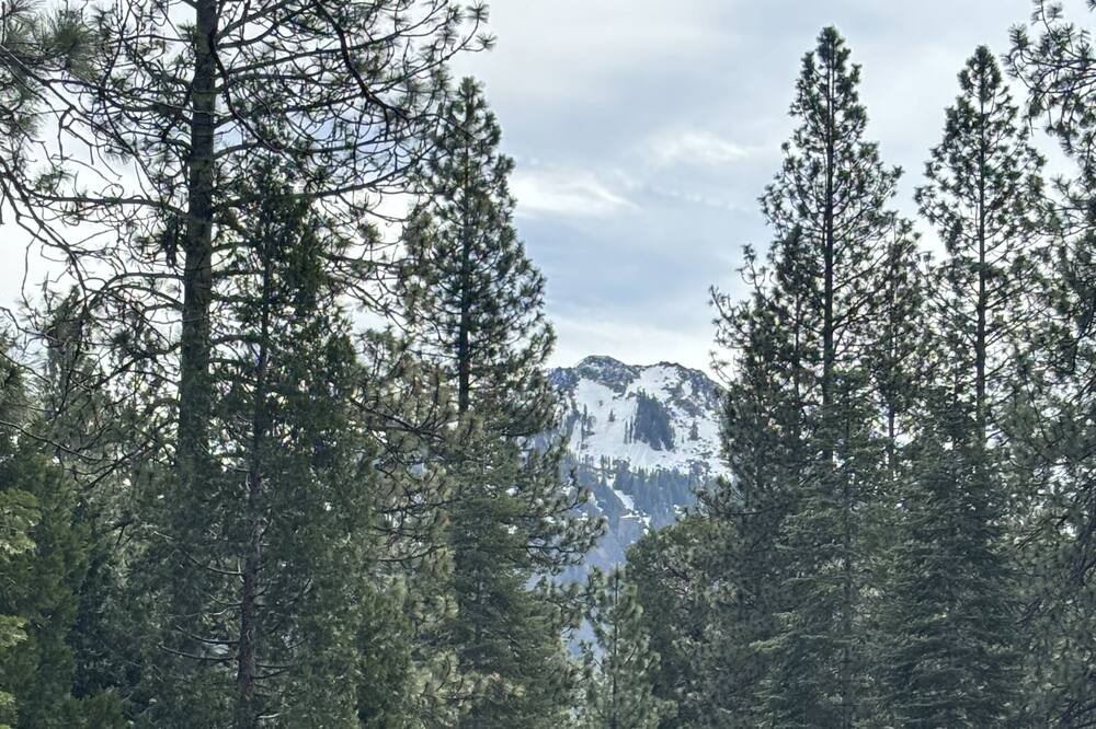 Photo of Outdoor in Weed
