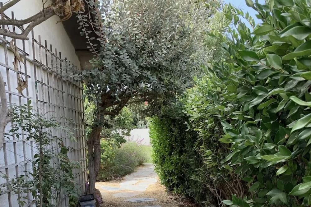 Photo of Outdoor in Santa Barbara