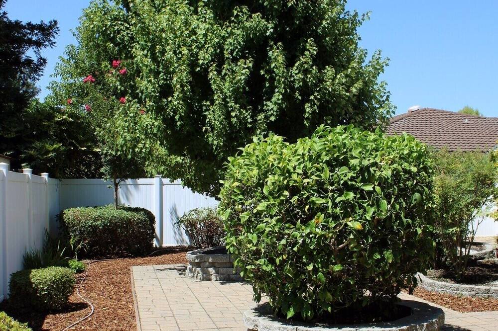 Photo of Outdoor in Covell Park