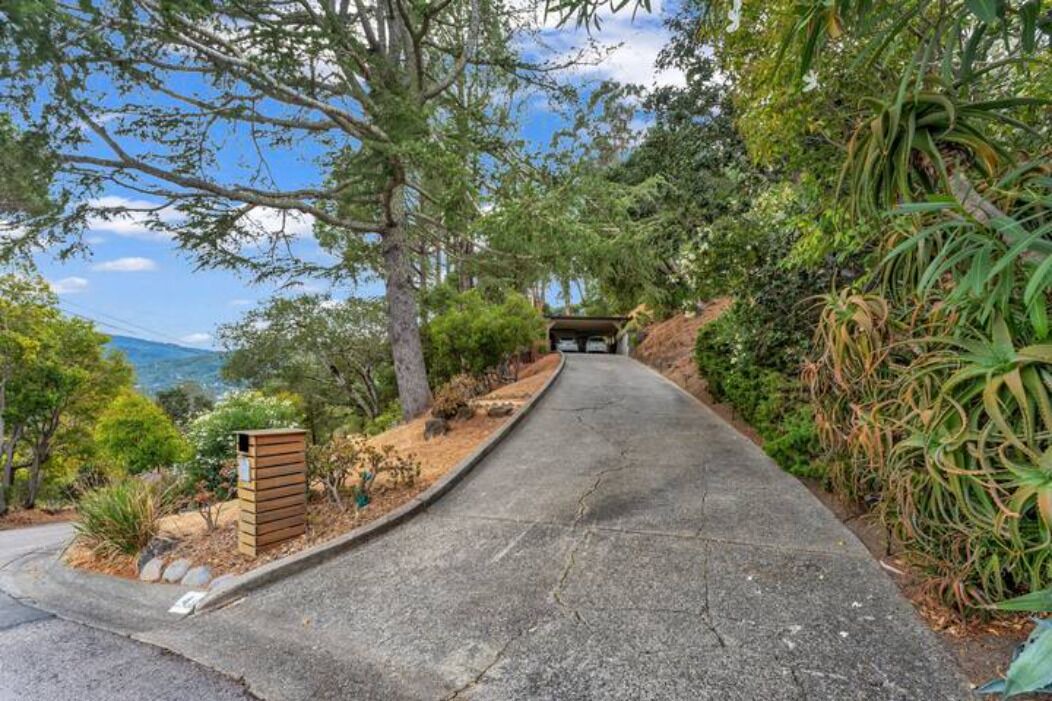 Photo of Outdoor in San Anselmo