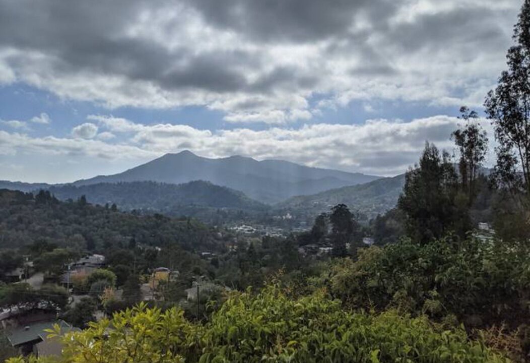 Photo of Outdoor in San Anselmo