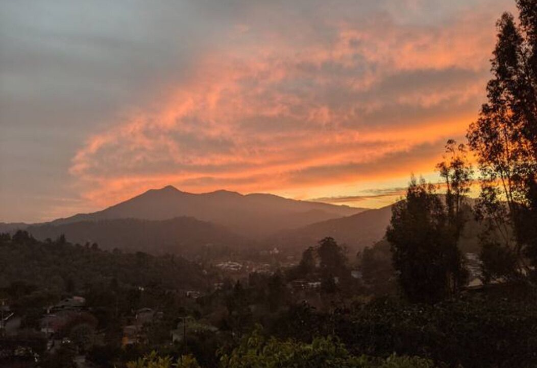 Photo of Others in San Anselmo
