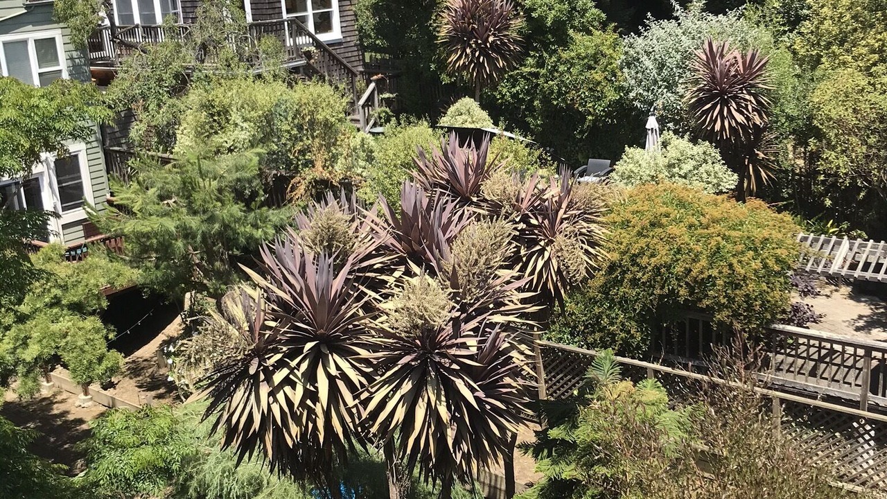 Photo of Outdoor in Russian Hill