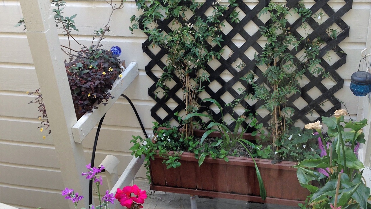 Photo of Outdoor in Russian Hill