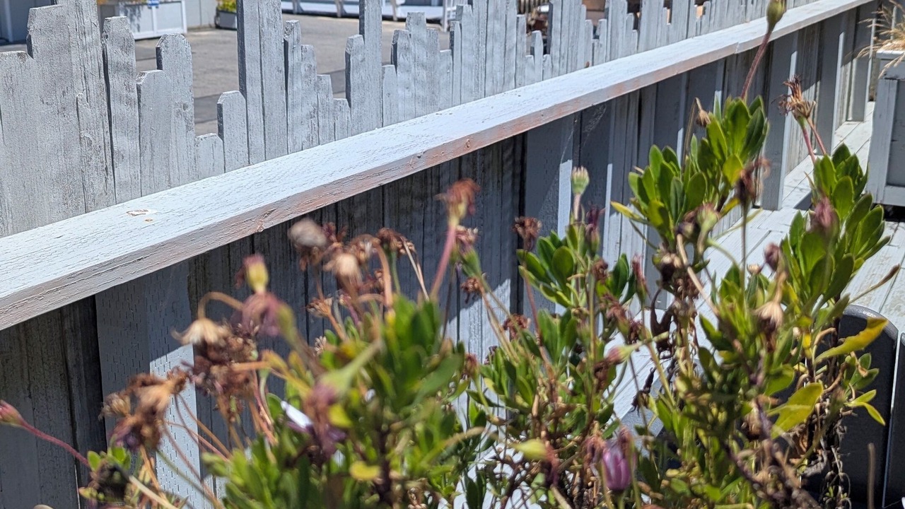 Photo of Patio Balcony in Inverness