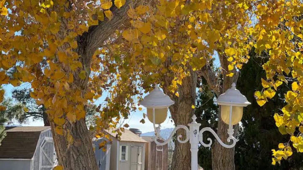 Photo of Outdoor in Hesperia