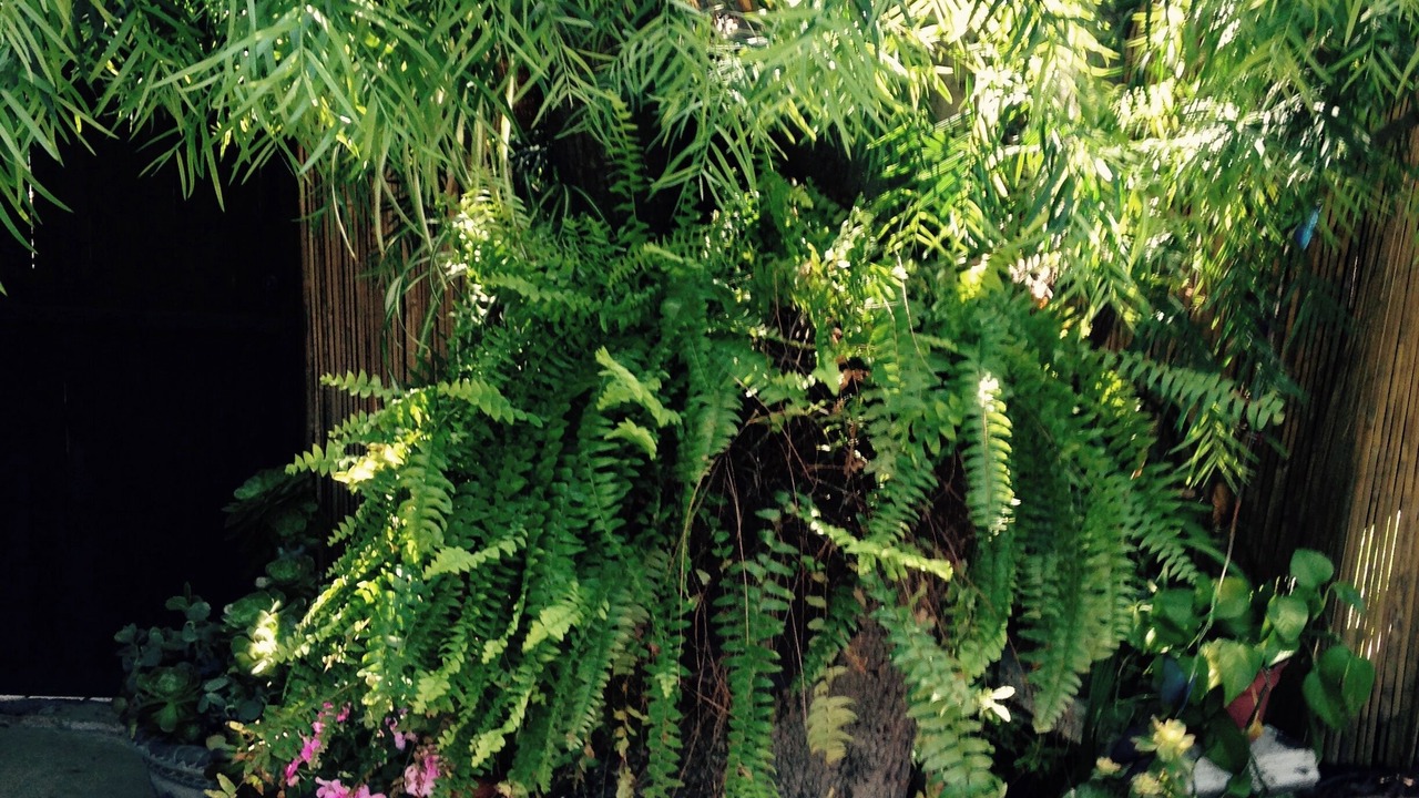 Photo of Outdoor in Mission Canyon
